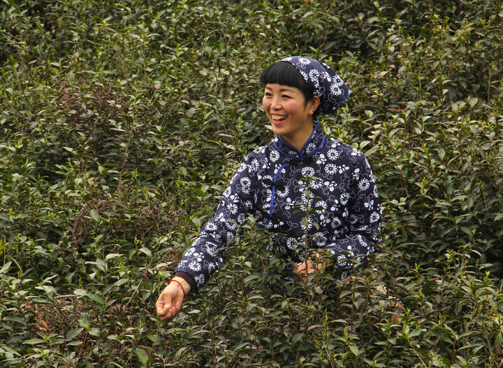 推荐4